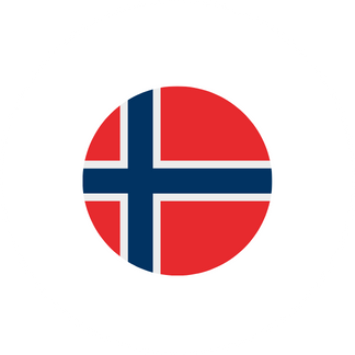 Norske flagg ikon norsk nettbutikk trygt